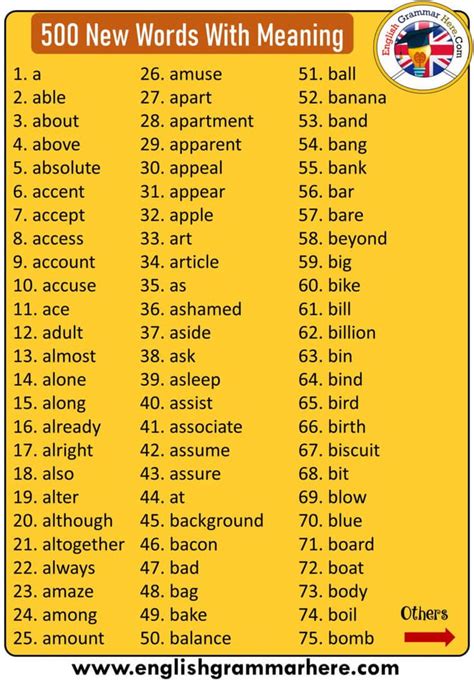 nueva meaning in english